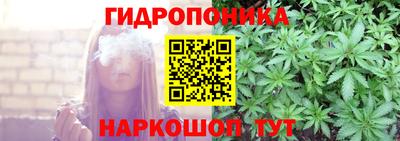 PSILOCYBIN Будённовск